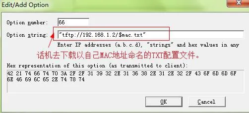 Adicionar nova DHCP option